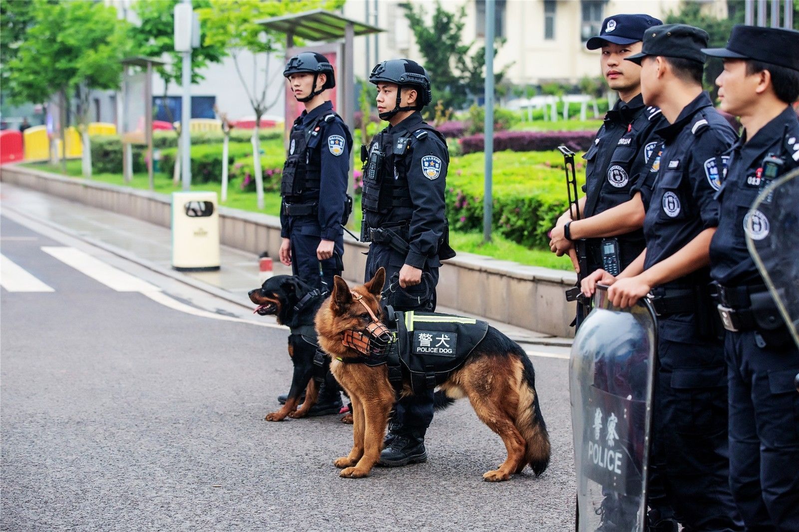 湖南hb火博管理有限公司