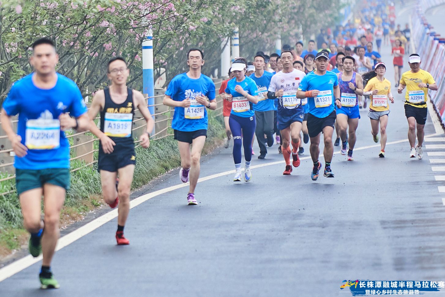 湖南hb火博管理有限公司